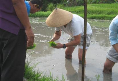 Voyage en Indonésie - Témoignage de Marie