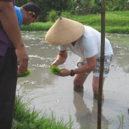 Voyage en Indonésie - Témoignage de Marie
