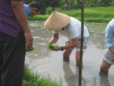 Voyage en Indonésie - Témoignage de Marie
