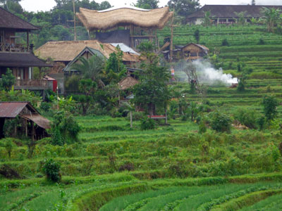 Voyage en Indonésie - Témoignage de Marie