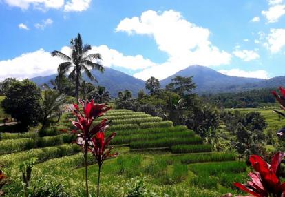 Voyage en Indonésie de Martine et Claude