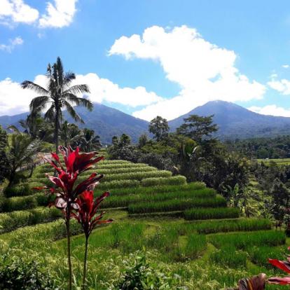 Voyage en Indonésie de Martine et Claude