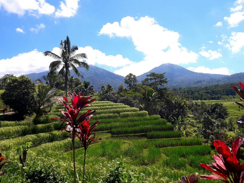 Voyage en Indonésie de Martine et Claude