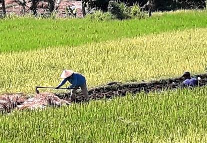 Voyage en Indonésie de Martine et Claude