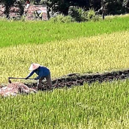 Voyage en Indonésie de Martine et Claude