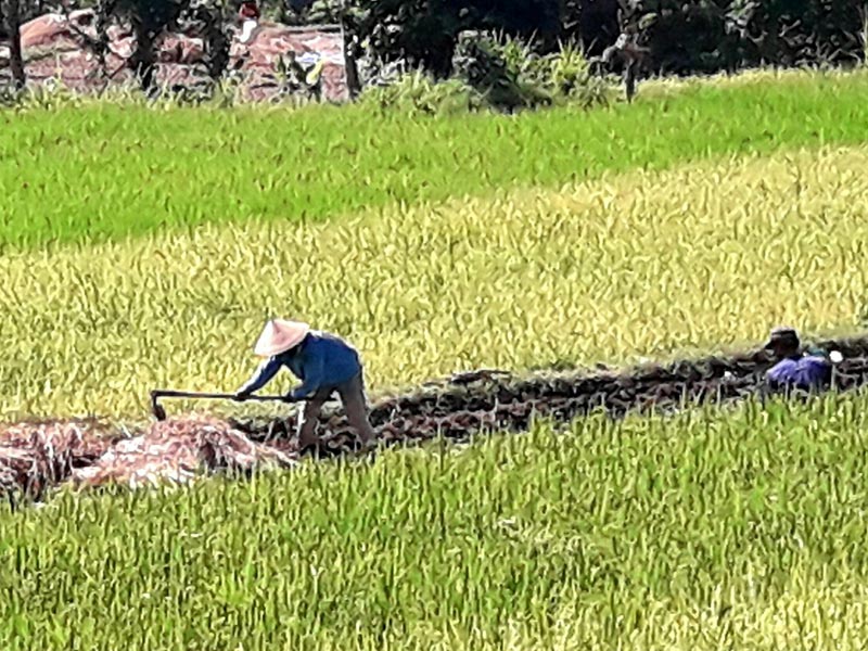 Voyage en Indonésie de Martine et Claude