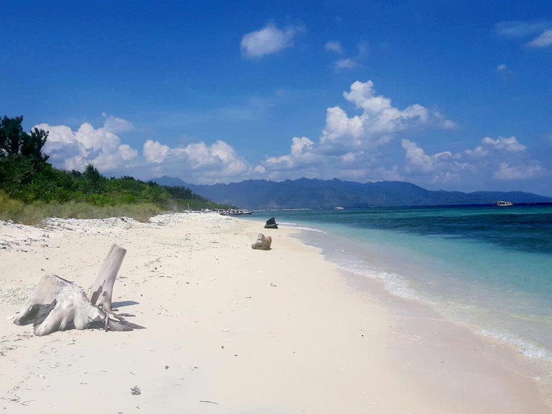 Voyage en Indonésie de Martine et Claude