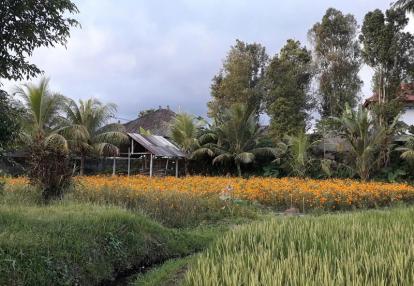 Voyage en Indonésie de Martine et Claude
