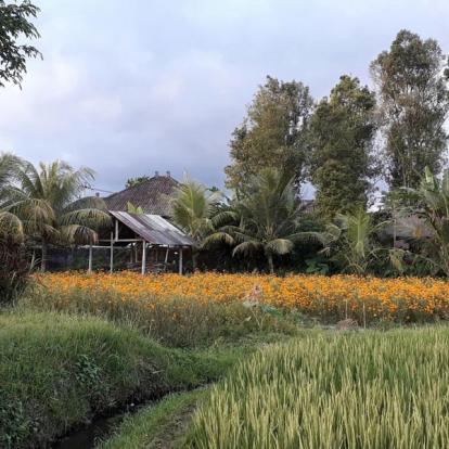 Voyage en Indonésie de Martine et Claude