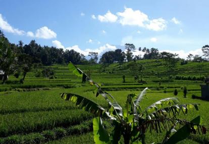 Voyage en Indonésie de Martine et Claude