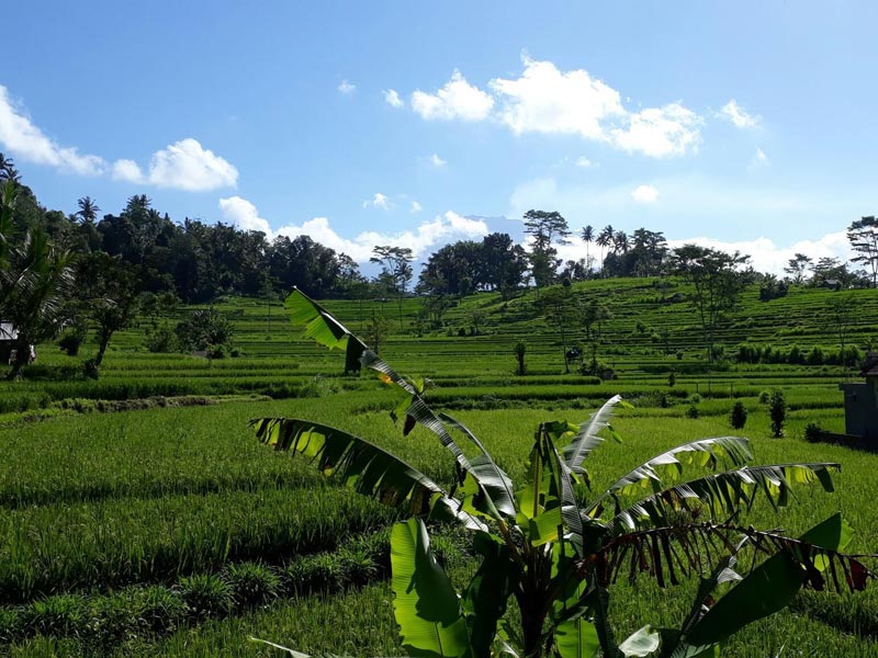 Voyage en Indonésie de Martine et Claude