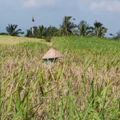 Voyage en Indonésie de Valérie et Emmanuel
