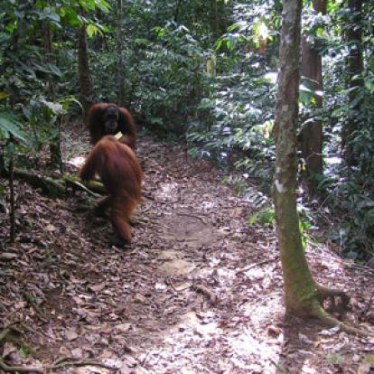 Voyage en Indonésie de Laurent