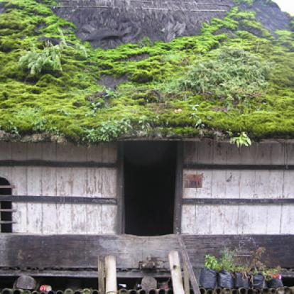 Voyage en Indonésie de Laurent