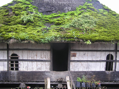 Voyage en Indonésie de Laurent