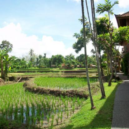 Voyage en Indonésie de Mathilde