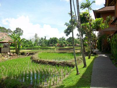 Voyage en Indonésie de Mathilde