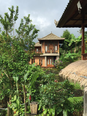 Voyage en Indonésie de Diane