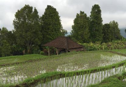 Voyage en Indonésie de Diane