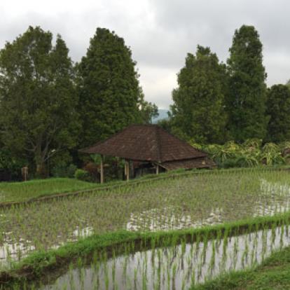 Voyage en Indonésie de Diane