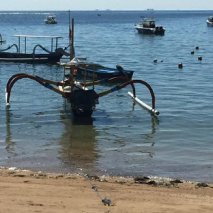 Voyage en Indonésie de Diane