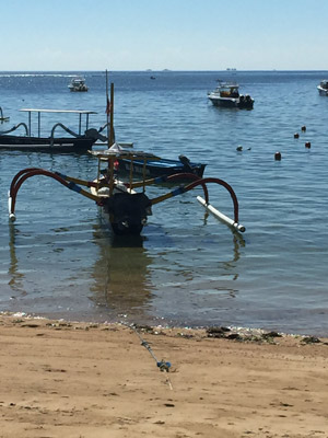 Voyage en Indonésie de Diane