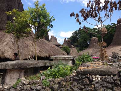 Voyage en Indonésie de Pierre et Asawin