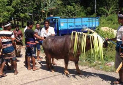 Voyage en Indonésie de Pierre et Asawin
