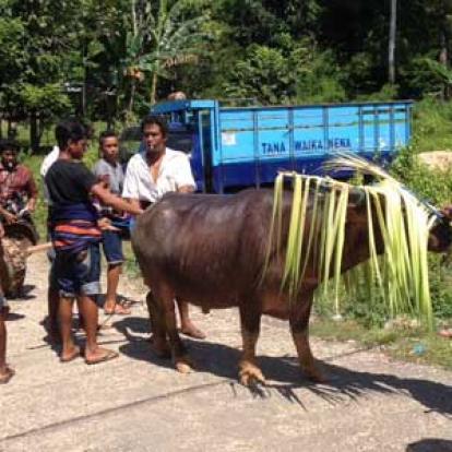Voyage en Indonésie de Pierre et Asawin