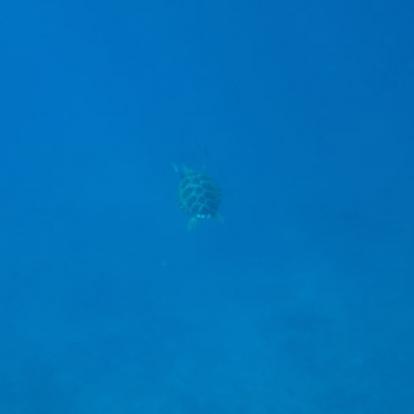 Voyage en Indonésie de Gaëlle