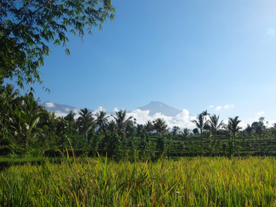 Voyage en Indonésie de Gaëlle