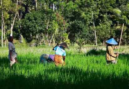 Voyage en Indonésie de Gaëlle