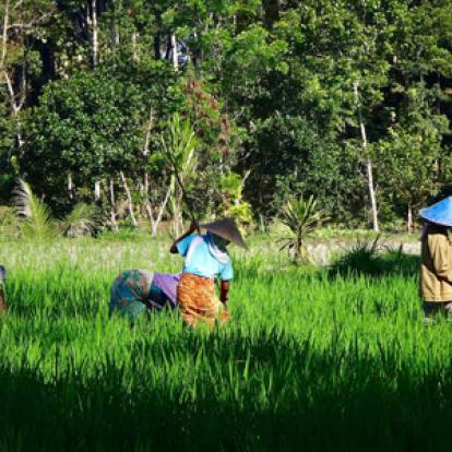 Voyage en Indonésie de Gaëlle