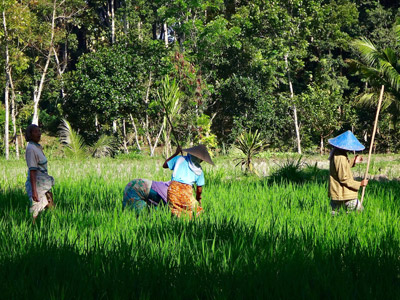 Voyage en Indonésie de Gaëlle