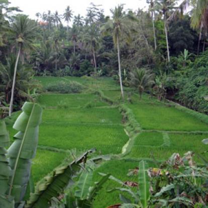 Voyage en Indonésie de Valérie
