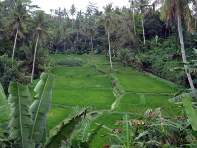 Voyage en Indonésie de Valérie