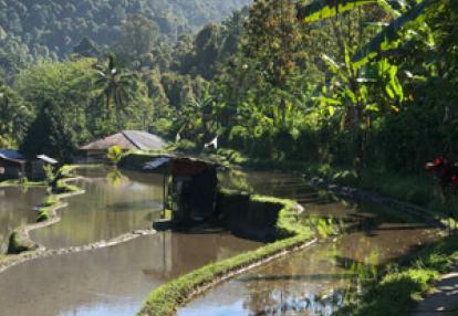 Voyage en Indonésie d'Hélène et Laurent
