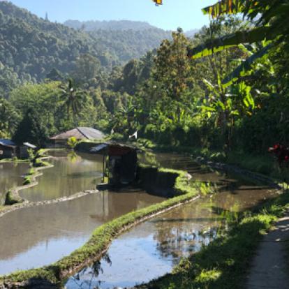 Voyage en Indonésie d'Hélène et Laurent