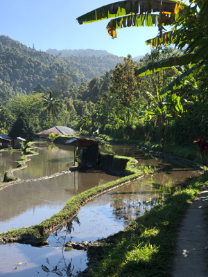 Voyage en Indonésie d'Hélène et Laurent