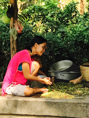 Voyage en Indonésie de la Famille de Stéphanie