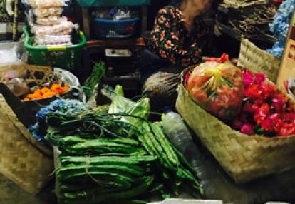 Voyage en Indonésie de la Famille de Stéphanie