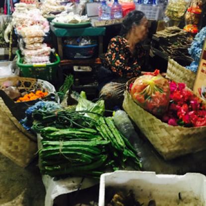 Voyage en Indonésie de la Famille de Stéphanie