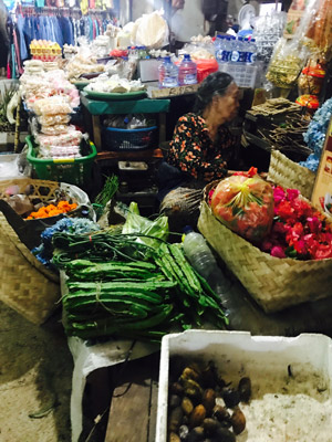 Voyage en Indonésie de la Famille de Stéphanie