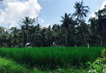 Voyage en Indonésie de la Famille de Stéphanie