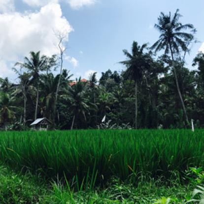Voyage en Indonésie de la Famille de Stéphanie