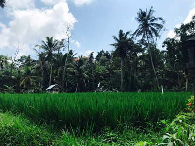 Voyage en Indonésie de la Famille de Stéphanie