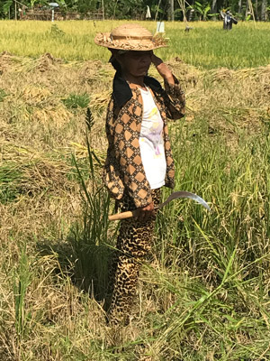 Voyage en Indonésie de la Famille de Stéphanie