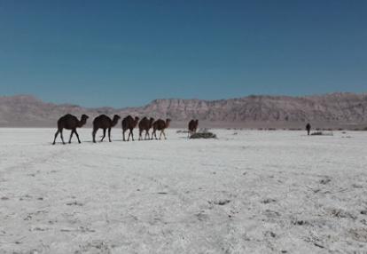 Voyage en Iran de Christiane et André
