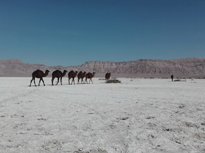 Voyage en Iran de Christiane et André