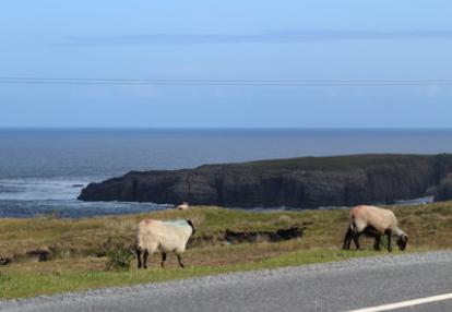 ©Christiane R. - Tous Droits réservés Voyage en Irlande de Christiane
